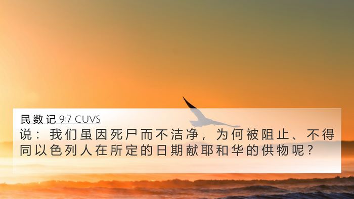 民 数 记 9:7 CUVS 4K Wallpaper - 说 ： 我 们 虽 因 死 尸 而 不 洁 净 - 4K Wallpaper Bible Verse