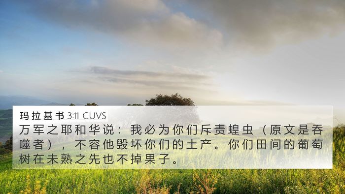 玛 拉 基 书 3:11 CUVS 4K Wallpaper - 万 军 之 耶 和 华 说 ： 我 必 为 你 - 4K Wallpaper Bible Verse