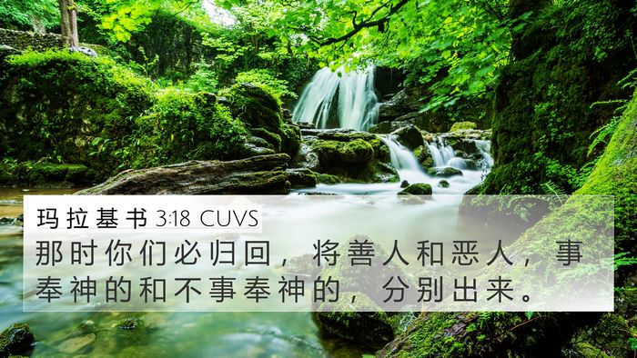 玛 拉 基 书 3:18 CUVS Bible Verse Image