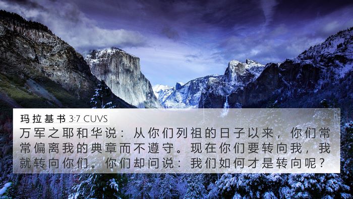 玛 拉 基 书 3:7 CUVS Bible Verse Image