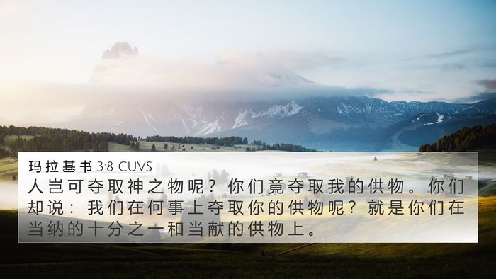 玛 拉 基 书 3:8 CUVS Bible Verse Image