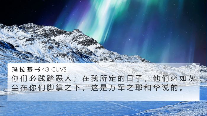玛 拉 基 书 4:3 CUVS Bible Verse Image