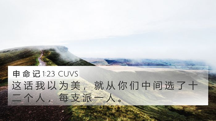 申 命 记 1:23 CUVS Bible Verse Image