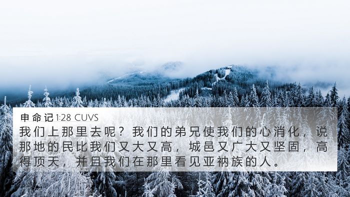 申 命 记 1:28 CUVS Bible Verse Image