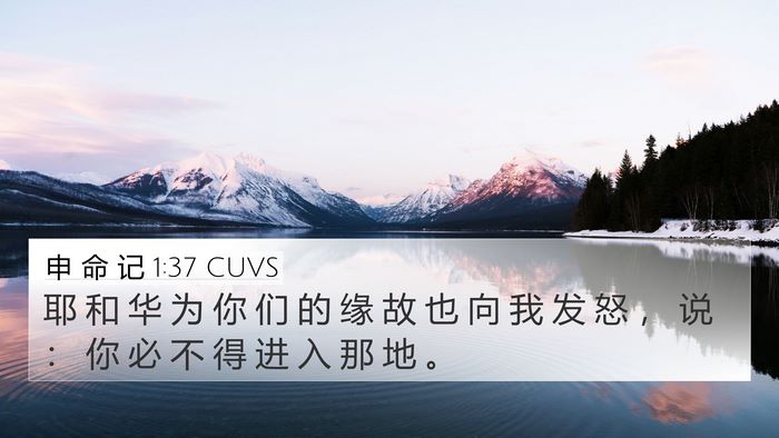申 命 记 1:37 CUVS Bible Verse Image