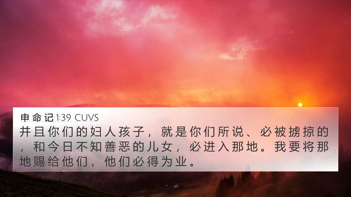 申 命 记 1:39 CUVS Bible Verse Image