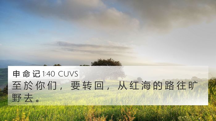 申 命 记 1:40 CUVS Bible Verse Image