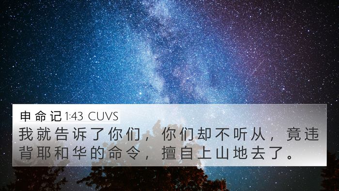 申 命 记 1:43 CUVS Bible Verse Image