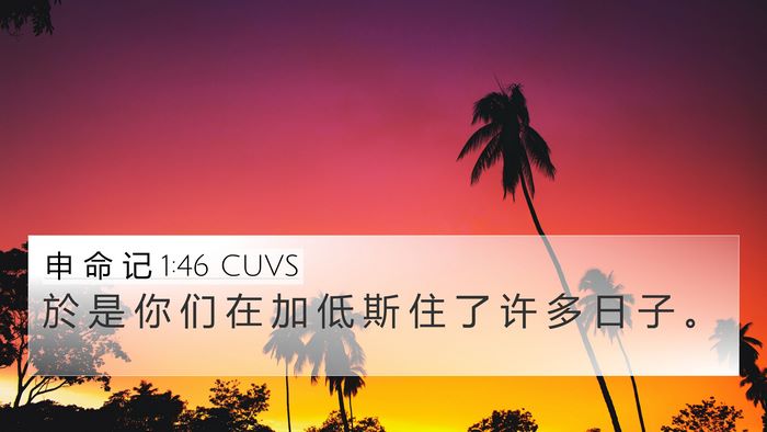 申 命 记 1:46 CUVS Bible Verse Image