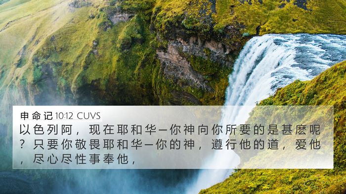 申 命 记 10:12 CUVS Bible Verse Image