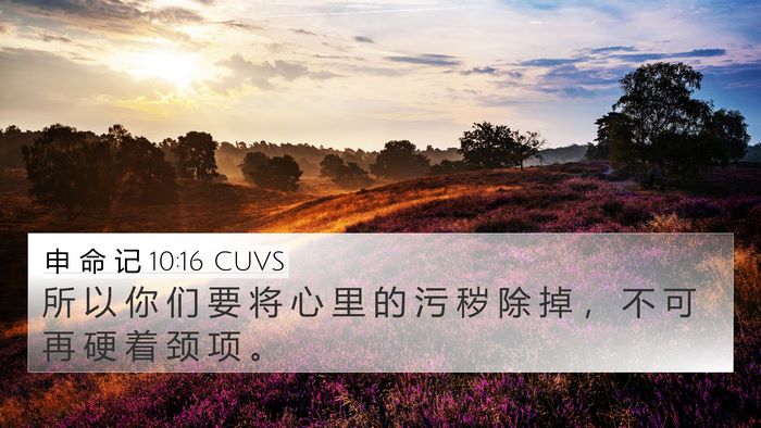 申 命 记 10:16 CUVS Bible Verse Image