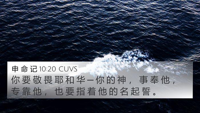 申 命 记 10:20 CUVS Bible Verse Image
