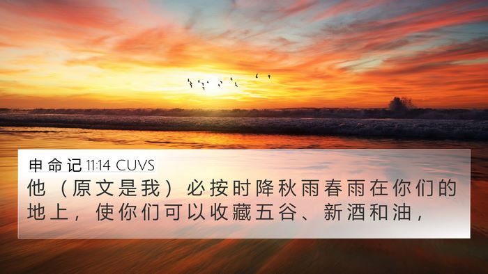 申 命 记 11:14 CUVS Bible Verse Image