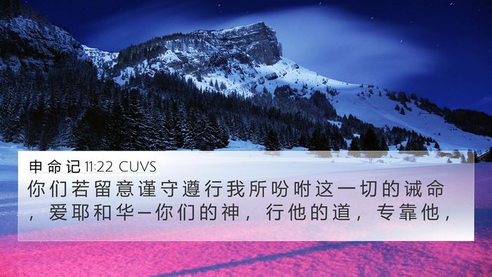 申 命 记 11:22 CUVS Bible Verse Image