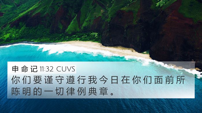 申 命 记 11:32 CUVS Bible Verse Image