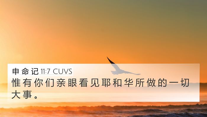 申 命 记 11:7 CUVS Bible Verse Image
