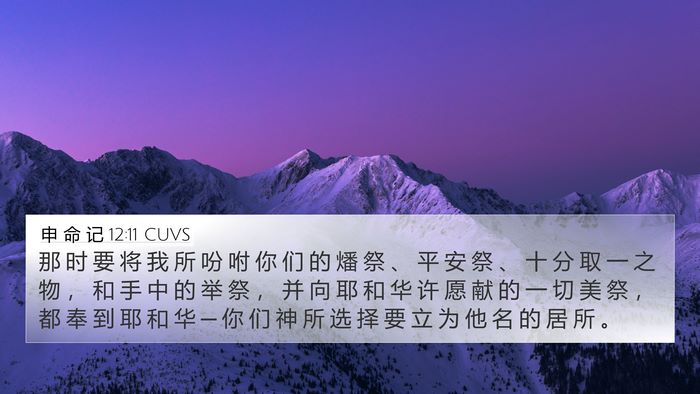 申 命 记 12:11 CUVS Bible Verse Image