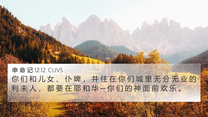 申 命 记 12:12 CUVS Bible Verse Image
