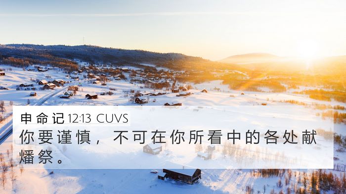 申 命 记 12:13 CUVS Bible Verse Image