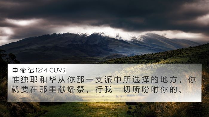申 命 记 12:14 CUVS Bible Verse Image