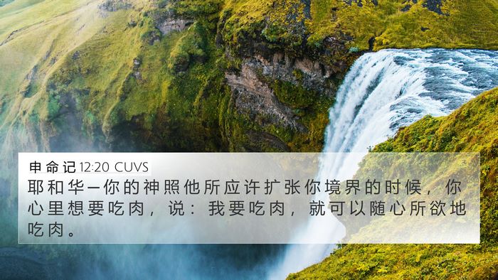 申 命 记 12:20 CUVS Bible Verse Image