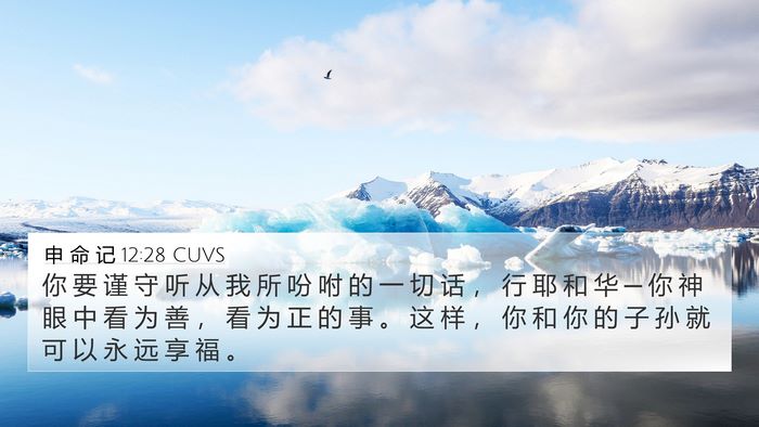 申 命 记 12:28 CUVS Bible Verse Image
