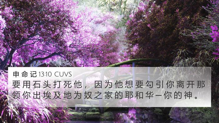 申 命 记 13:10 CUVS Bible Verse Image