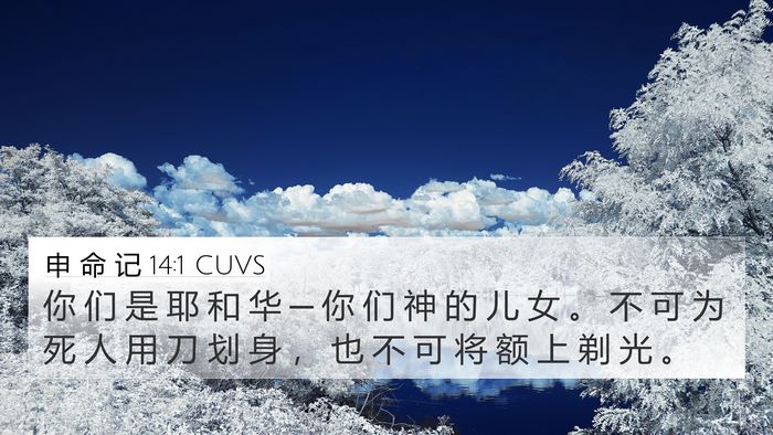 申 命 记 14:1 CUVS Bible Verse Image