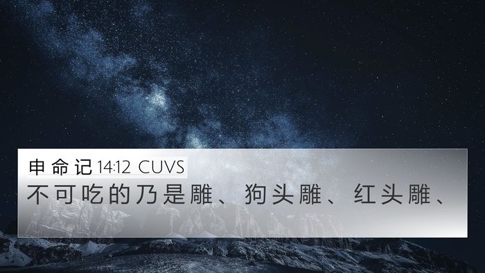 申 命 记 14:12 CUVS Bible Verse Image