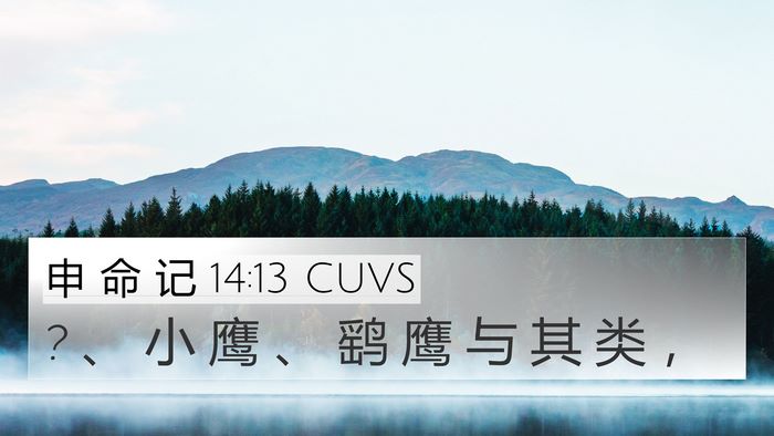 申 命 记 14:13 CUVS 4K Wallpaper - ? 、 小 鹰 、 鹞 鹰 与 其 类 - 4K Wallpaper Bible Verse