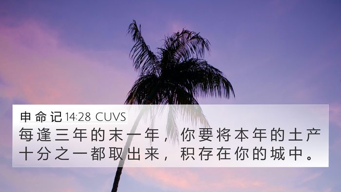 申 命 记 14:28 CUVS Bible Verse Image