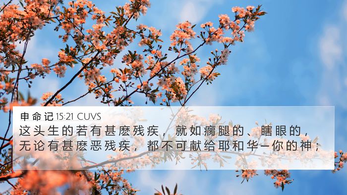 申 命 记 15:21 CUVS Bible Verse Image