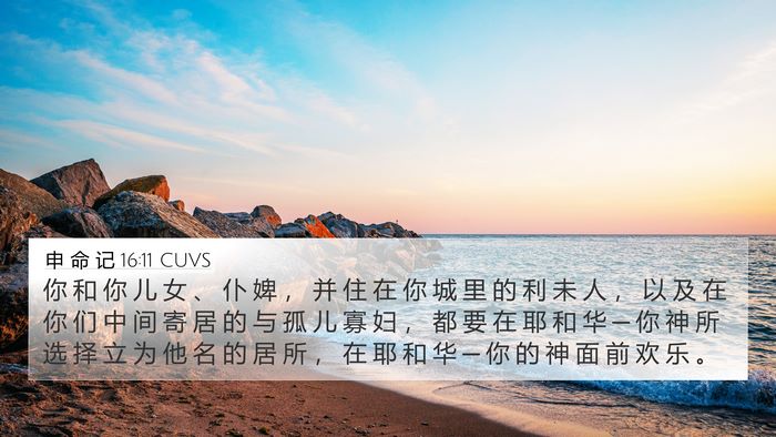 申 命 记 16:11 CUVS Bible Verse Image