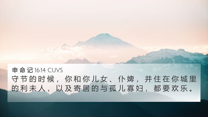 申 命 记 16:14 CUVS Bible Verse Image