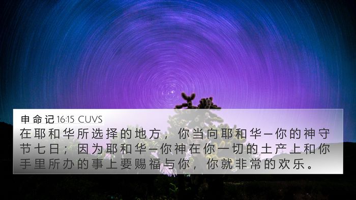 申 命 记 16:15 CUVS Bible Verse Image