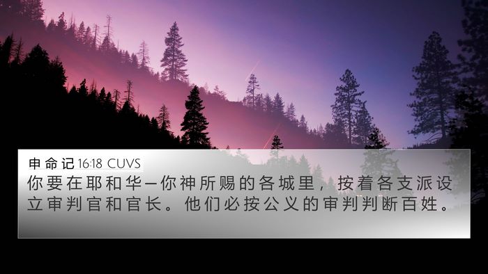 申 命 记 16:18 CUVS Bible Verse Image