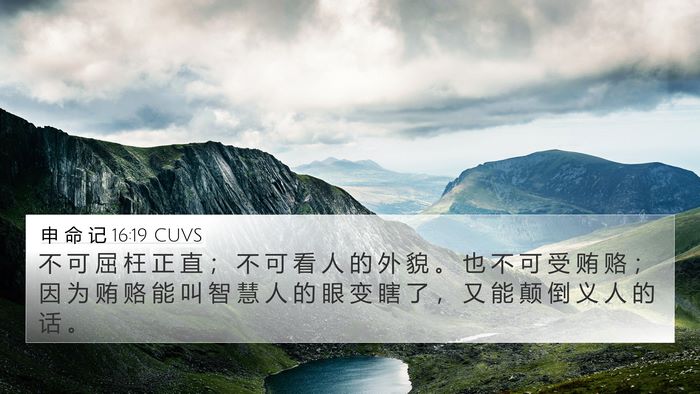 申 命 记 16:19 CUVS Bible Verse Image