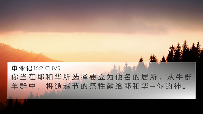 申 命 记 16:2 CUVS 4K Wallpaper - 你 当 在 耶 和 华 所 选 择 要 立 为 - 4K Wallpaper Bible Verse