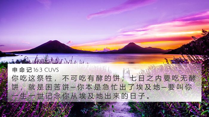 申 命 记 16:3 CUVS 4K Wallpaper - 你 吃 这 祭 牲 ， 不 可 吃 有 酵 的 - 4K Wallpaper Bible Verse