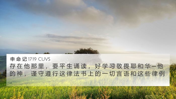 申 命 记 17:19 CUVS Bible Verse Image