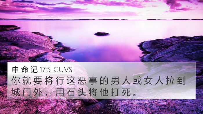 申 命 记 17:5 CUVS Bible Verse Image