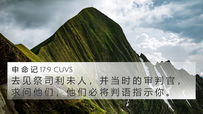 申 命 记 17:9 CUVS Bible Verse Image