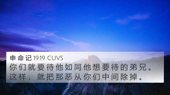 申 命 记 19:19 CUVS Bible Verse Image