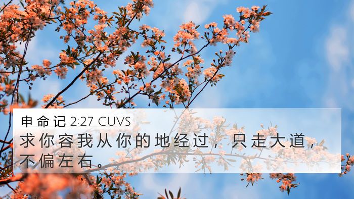 申 命 记 2:27 CUVS 4K Wallpaper - 求 你 容 我 从 你 的 地 经 过 ， 只 - 4K Wallpaper Bible Verse