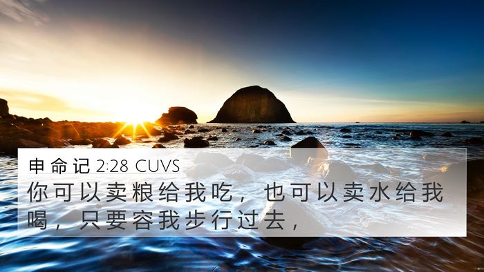 申 命 记 2:28 CUVS Bible Verse Image