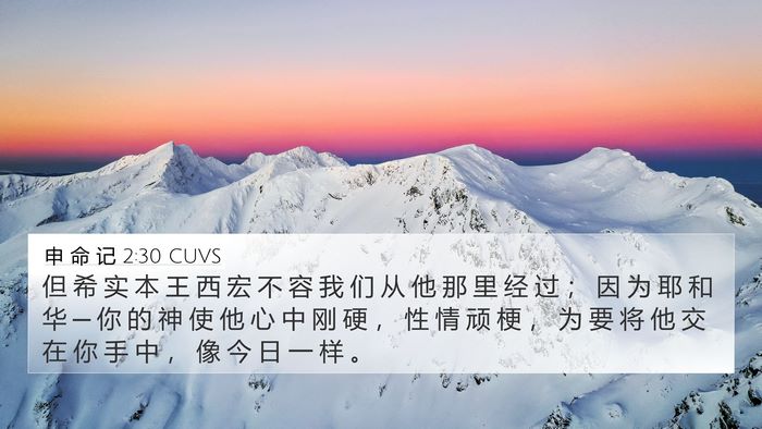 申 命 记 2:30 CUVS Bible Verse Image