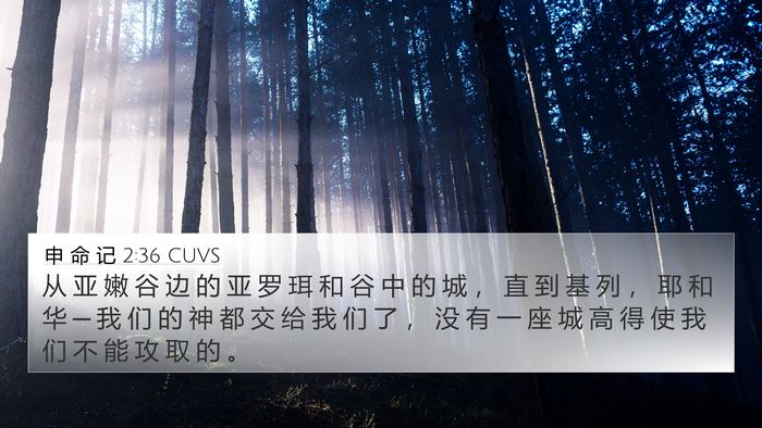 申 命 记 2:36 CUVS Bible Verse Image