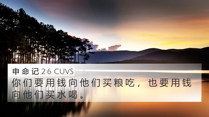 申 命 记 2:6 CUVS Bible Verse Image
