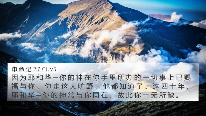 申 命 记 2:7 CUVS Bible Verse Image
