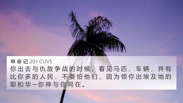 申 命 记 20:1 CUVS 4K Wallpaper - 你 出 去 与 仇 敌 争 战 的 时 候 ， - 4K Wallpaper Bible Verse